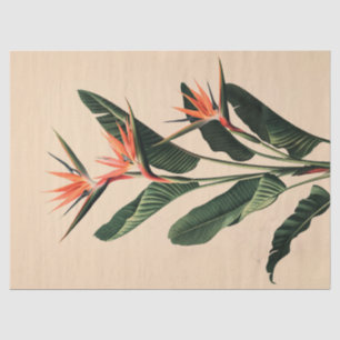 Papel De Seda Arte de decoupage botánico Ave del Paraíso