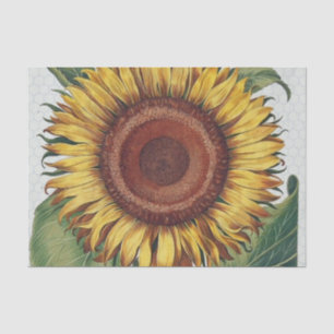 Papel De Seda Arte de flor de yute vintage Damask