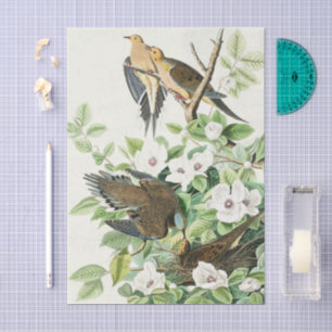 Papel De Seda Arte de flores y aves de la paloma llorona de Audu