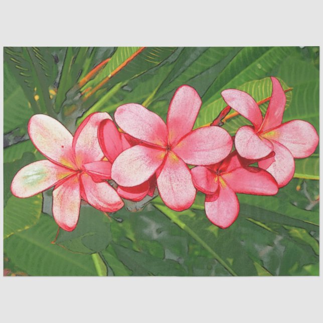 Papel De Seda Arte de Frangipani Tropical Rosa (Anverso)