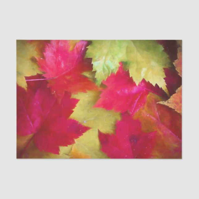 Papel De Seda Arte de hojas de arce amarillas rojas de otoño  (Anverso)