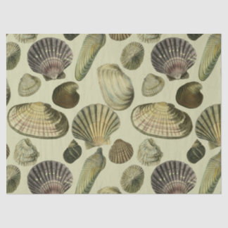 Papel De Seda arte de la concha marina vintage