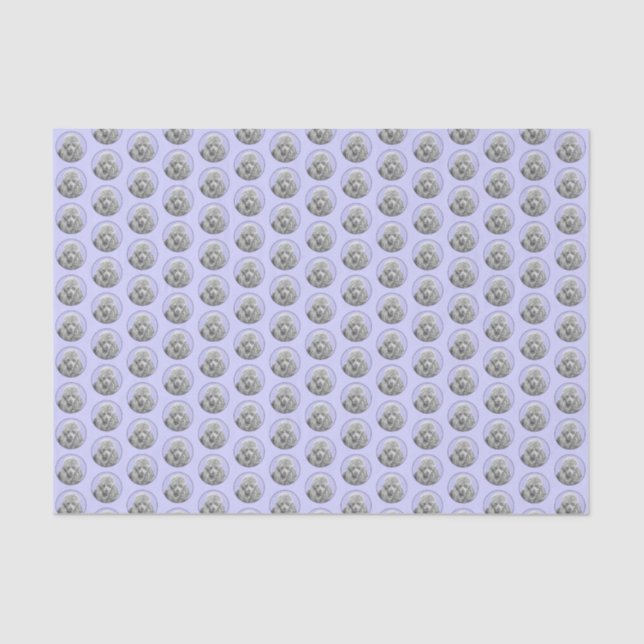 Papel De Seda Arte de perro azul grisáceo de juguete en miniatur (Anverso)