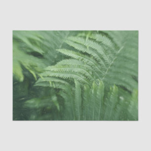 Papel De Seda Arte de verde botánico Hojas de Helecho