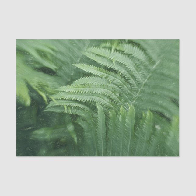 Papel De Seda Arte de verde botánico Hojas de Helecho (Anverso)