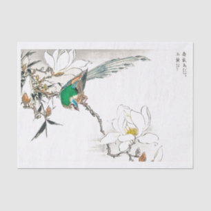 Papel De Seda Arte de Vintage tropical de aves