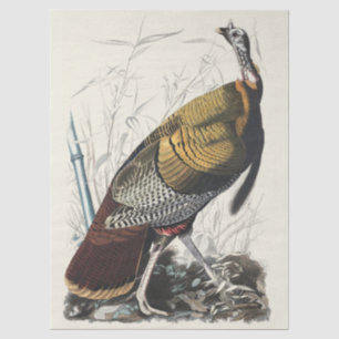 Papel De Seda Arte decorativo de Acción de Gracias de pavo silve