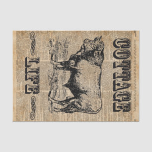 Papel De Seda Arte del diccionario del campo del vintage de la