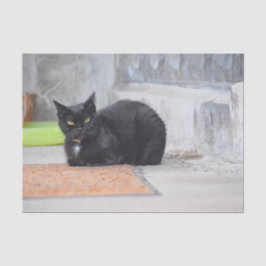 Papel De Seda Arte digital pintado gato negro lindo vintage anti