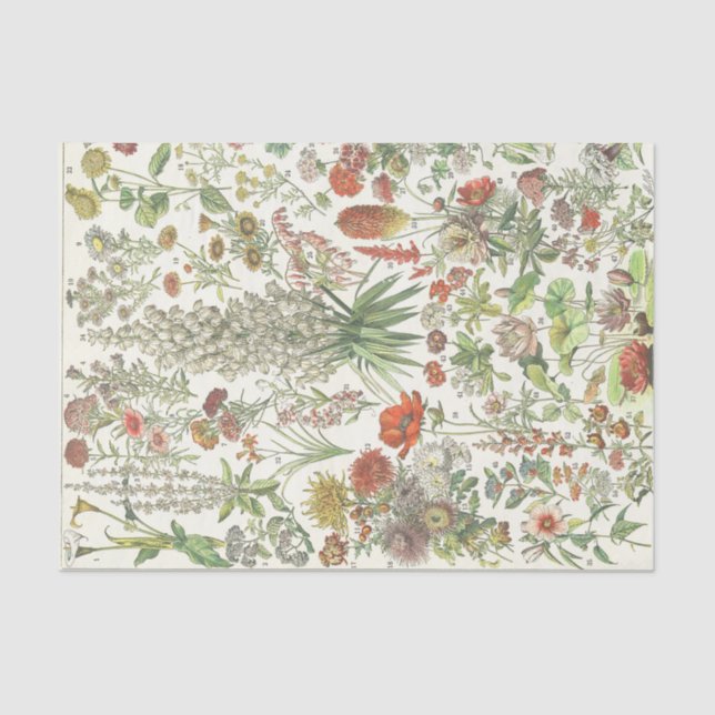 Papel De Seda Artesanos antiguos de desconchado floral de época (Anverso)