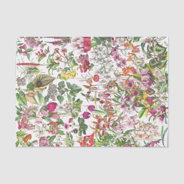Papel De Seda Artesanos antiguos de desconchado floral de época (Anverso)