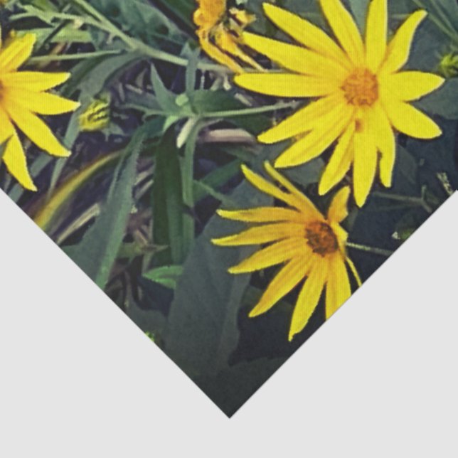 Papel De Seda Artichoke de Jerusalén (Detalle)