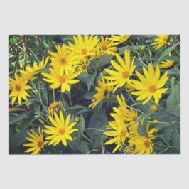 Papel De Seda Artichoke de Jerusalén