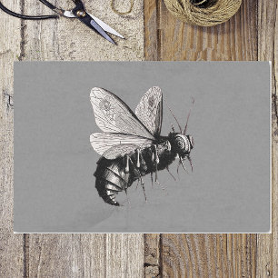 Papel De Seda Asombroso insecto de las alas góticas de las abeja