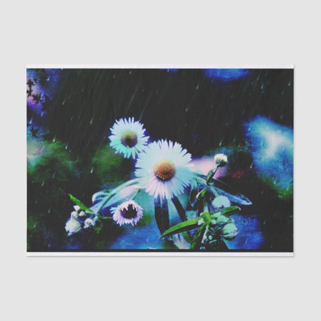 Papel De Seda Asters Aglow (Anverso)
