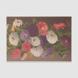 Papel De Seda Asters de flores de Ellen Robbins
