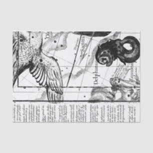 Papel De Seda Astronomía de constelación de época