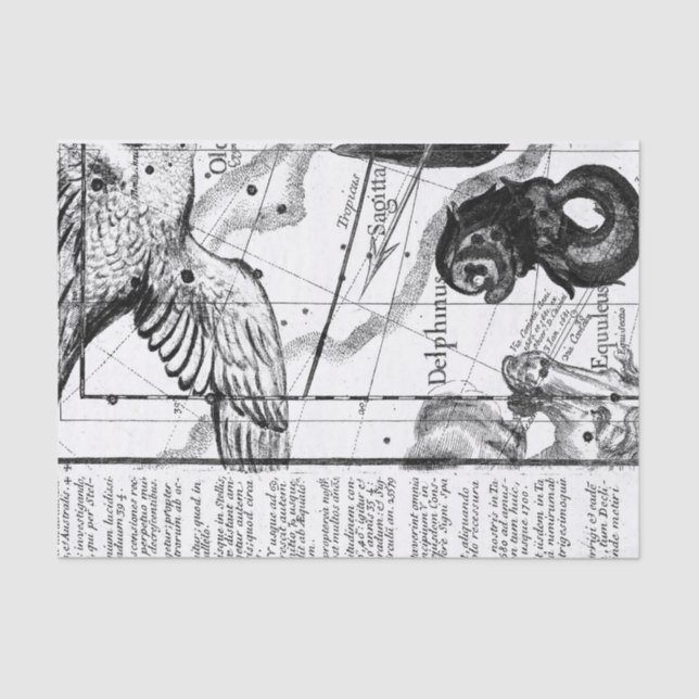 Papel De Seda Astronomía de constelación de época (Anverso)