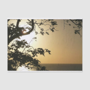 Papel De Seda Atardecer a través de árboles II Fotografía tropic