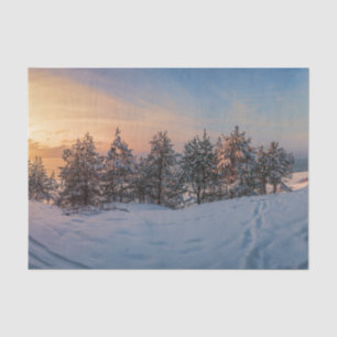 Papel De Seda Atardecer sobre bosque de nieve congelado cerca de
