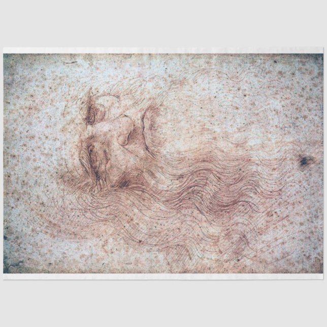 Papel De Seda Autorretrato, Leonardo da Vinci (Anverso)