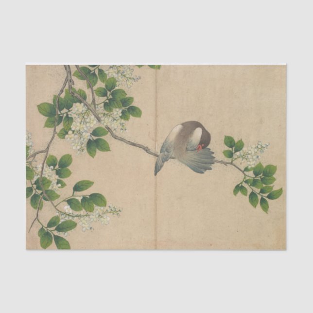 Papel De Seda Ave acicalándose de Zhang Ruoai (Anverso)