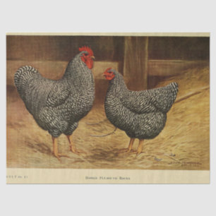 Papel De Seda Ave Ephemera Desahuciar Rooster Vintado Hen Barn