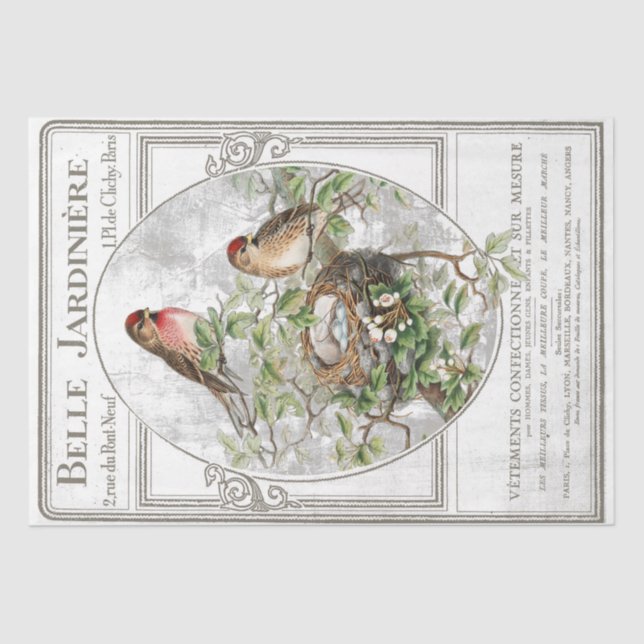 Papel De Seda Ave Nest Typography French Garden Decoupage (Anverso)