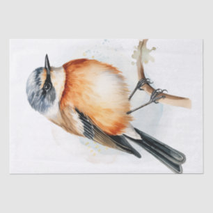 Papel De Seda Ave Stonechat de África