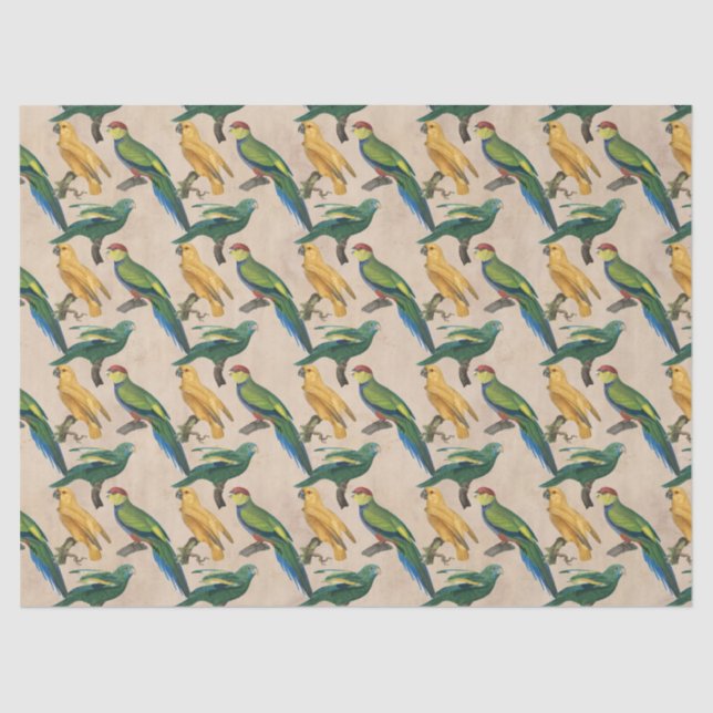 Papel De Seda Aves amarillas y verdes en Tan Decoupage (Anverso)