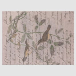 Papel De Seda Aves antiguas en ramas con página escrita