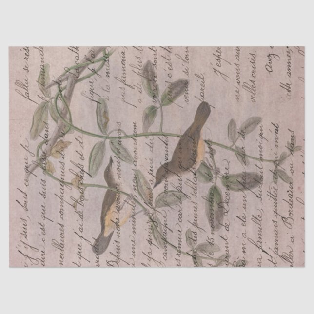 Papel De Seda Aves antiguas en ramas con página escrita (Anverso)