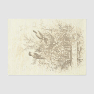 Papel De Seda Aves antiguas francesas de época Nest Beige