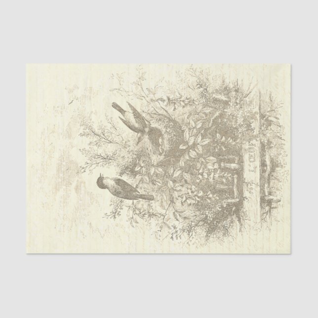 Papel De Seda Aves antiguas francesas de época Nest Beige (Anverso)