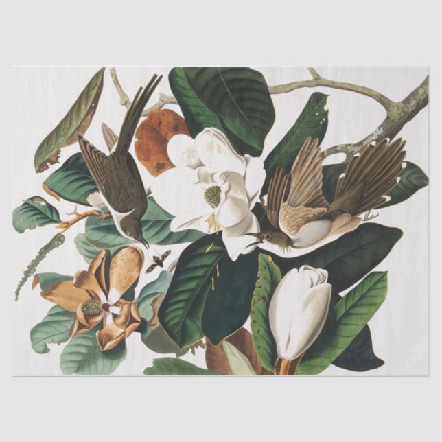 Papel De Seda Aves antiguas y flores desconchan (Anverso)