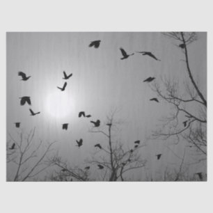Papel De Seda Aves bonitos