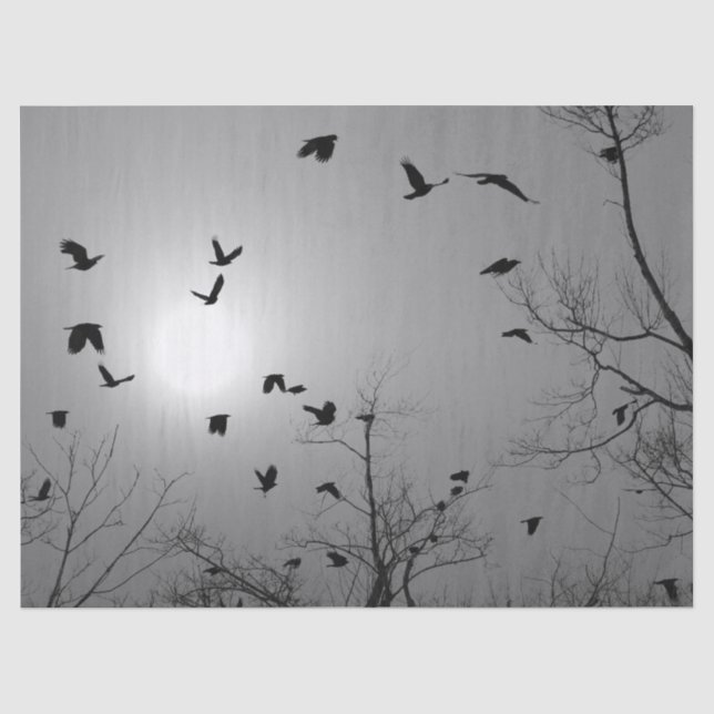 Papel De Seda Aves bonitos (Anverso)
