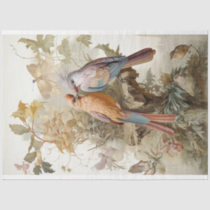 Papel De Seda Aves con plumas largas