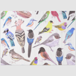 Papel De Seda Aves de América - mascotas y aves silvestres