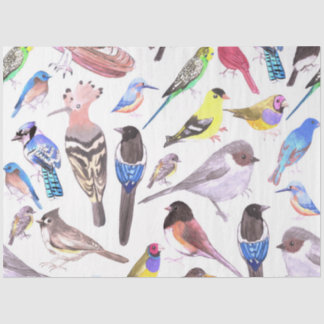Papel De Seda Aves de América - mascotas y aves silvestres