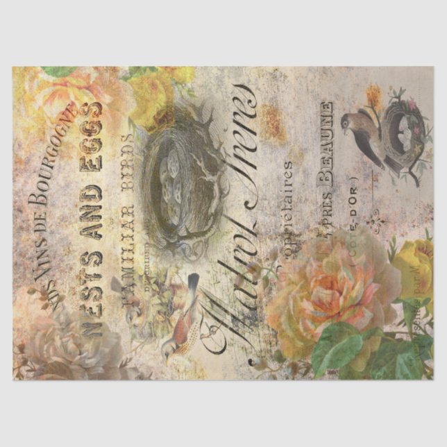 Papel De Seda Aves de época en desenlace de la efemera francesa (Anverso)