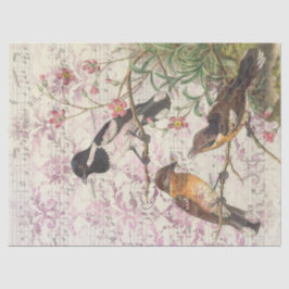 Papel De Seda Aves de época en ramas y decoraciones musicales