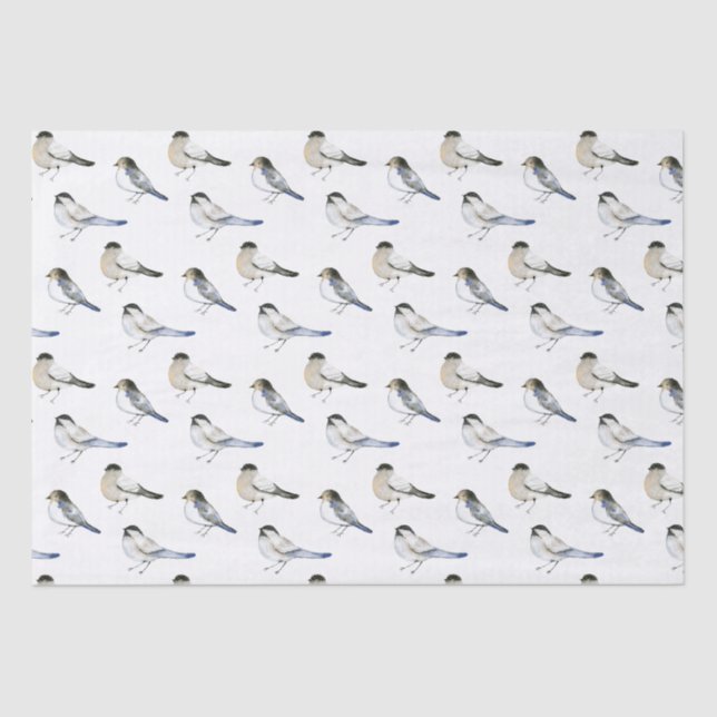 Papel De Seda Aves de invierno de Blue Winger Warbler (Anverso)