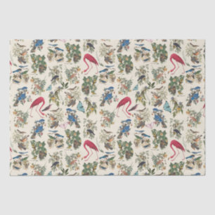 Papel De Seda Aves de John James Audubon