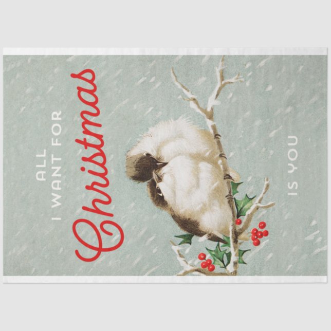 Papel De Seda Aves de Navidad antiguas en la sucursal (Anverso)