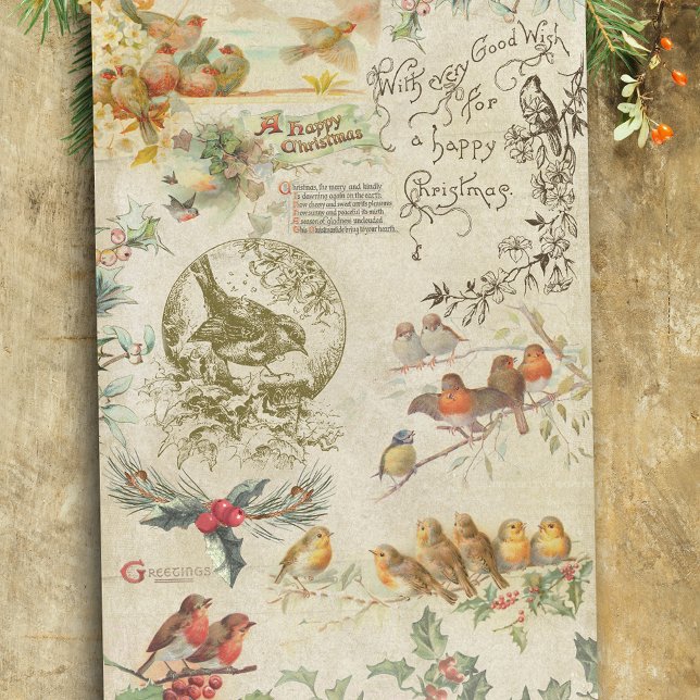 Papel De Seda Aves de Navidad ruidosas y holly éfemera (Subido por el creador)