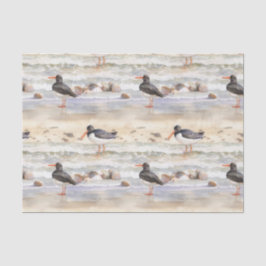 Papel De Seda Aves de Playa Costera