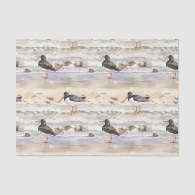 Papel De Seda Aves de Playa Costera (Anverso)