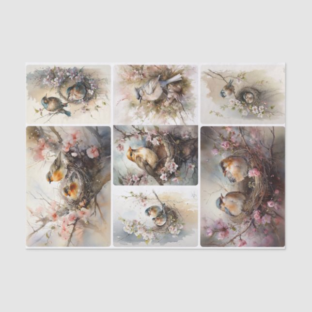 Papel De Seda Aves de primavera (Anverso)