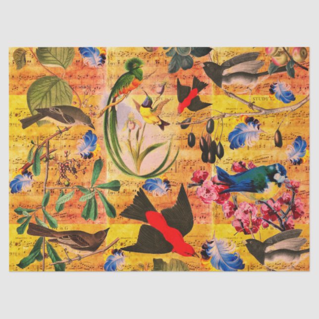Papel De Seda AVES DE PRIMAVERA, CARACTERES, FRUTAS, notas de mú (Anverso)